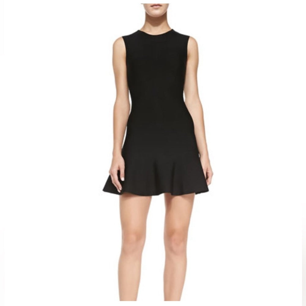 BCBG sleeveless knit mini dress